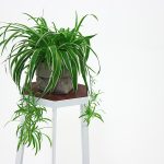 Portavasi ExTile by Ma.T.O